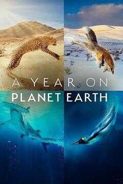 地球上的一年海报