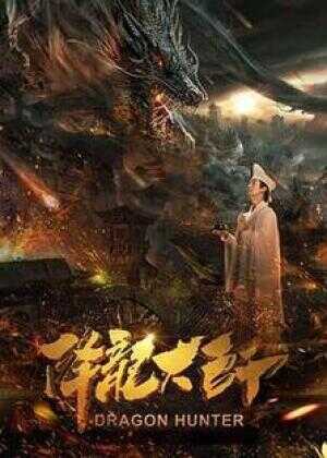 降龙大师海报