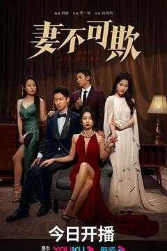 妻不可欺海报