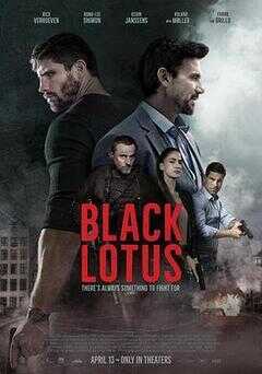 黑莲花公主海报