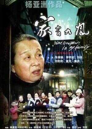 家有九凤海报
