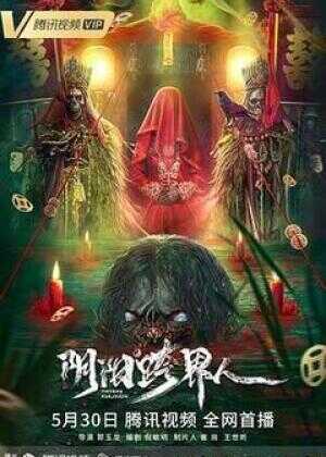 阴阳跨界人海报