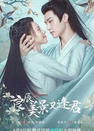 良辰美景又逢君海报