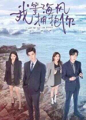 我等海风拥抱你海报