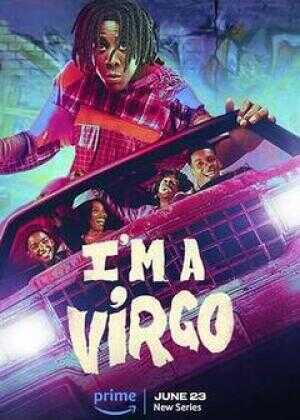 我是处女座海报