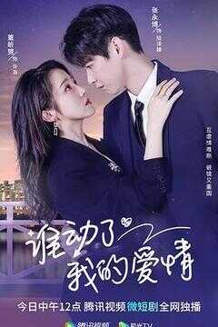 谁动了我的爱情海报