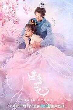 进击的王妃海报