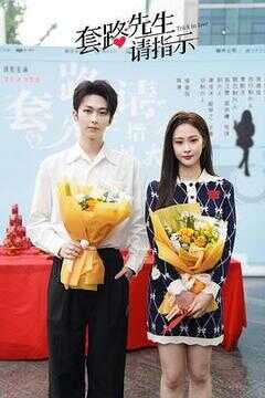 套路先生请指示海报