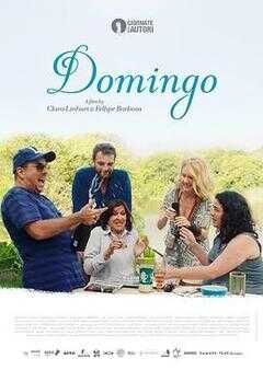 多明戈海报
