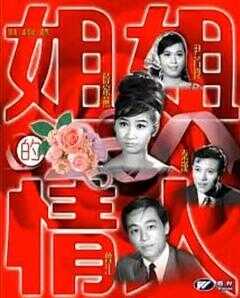 姐姐的情人海报