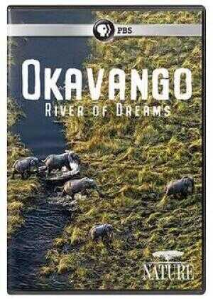 奥卡万戈：梦想之河海报