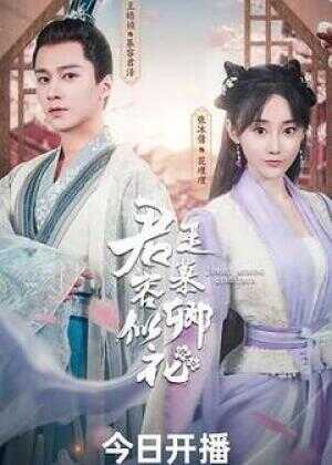 君是慕容卿似花