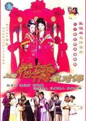 上错花轿嫁对郎海报