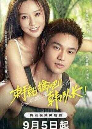 束手就擒吧!韩队长海报