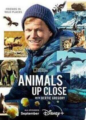 贝尔蒂·格雷戈里：与动物零距离海报