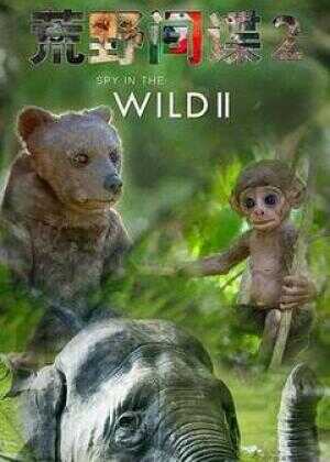 荒野间谍 第二季海报