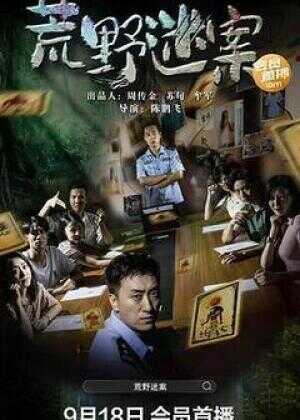 荒野迷案海报