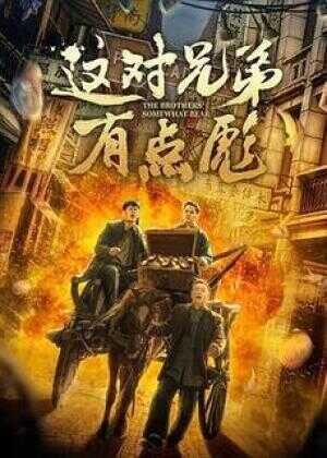 这对兄弟有点彪海报