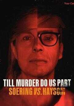 分飞囚鸟：弑亲案罗生门海报