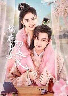 梅府有女初长成海报