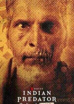 印度连环杀手档案：血腥日记海报