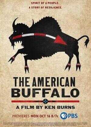 美国水牛海报