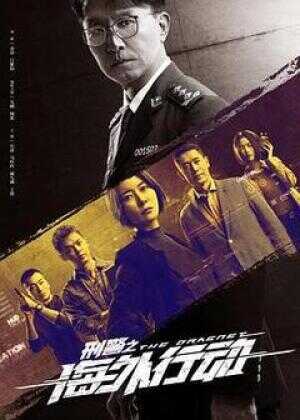 刑警之海外行动海报