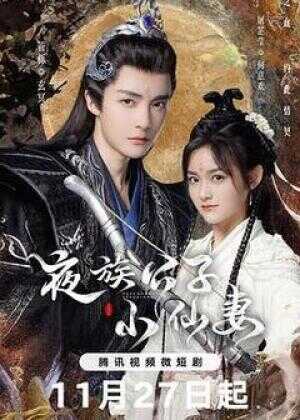 夜族公子小仙妻海报