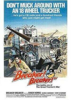 铁拳硬汉闯龙潭海报