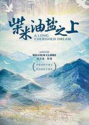 柴米油盐之上海报