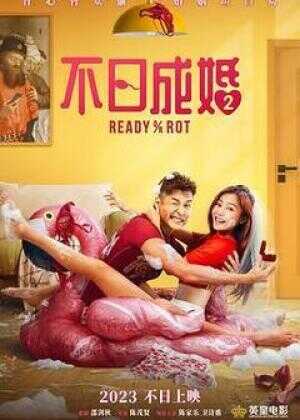 不日成婚2海报