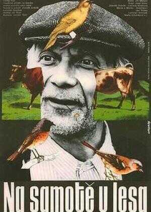 森林边缘的寂寞海报