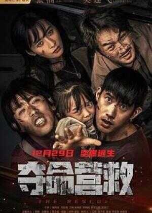 夺命营救海报