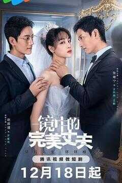 镜中的完美丈夫海报