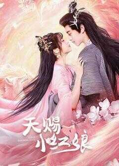 天赐小红娘海报