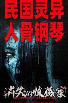 消失的收藏家海报