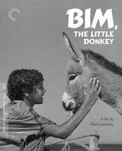 小驴比姆海报