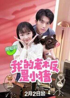 我的老板是小猪海报
