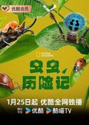 虫虫历险记海报