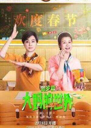 大妈的世界 贺岁篇海报