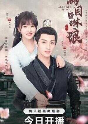 满目皆琳琅海报