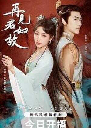 再见君如故海报