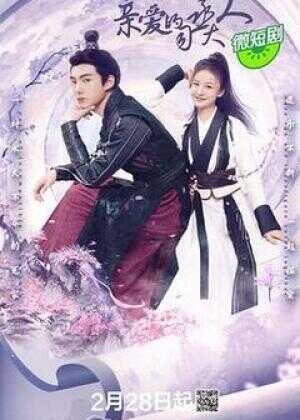 亲爱的司丞大人海报