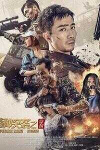 特种突袭之觉醒海报