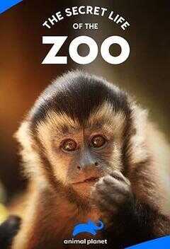 动物园的秘密生活 第一季海报
