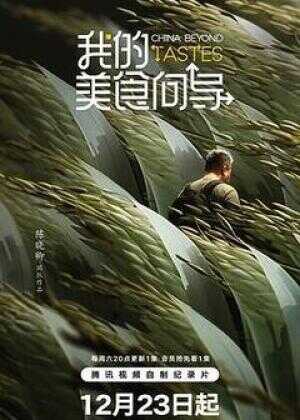 我的美食向导海报