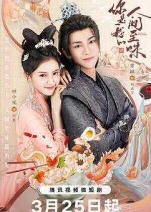 你是我的人间至味海报