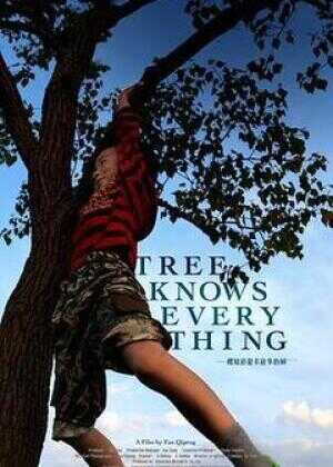 一棵知道很多故事的树海报