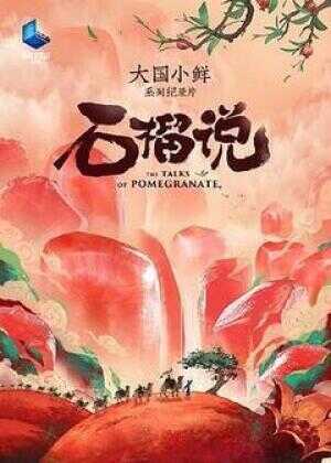 大国小鲜·石榴说海报
