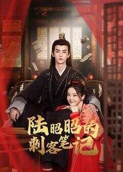 陆昭昭的刺客笔记海报